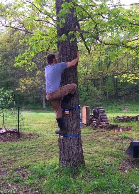 How To Climb A Tree, Playground Plan, Tree Climbing Equipment, Tree Climbing Rope, Mountaineering Activities, Climbing Tree Stands, Homestead Projects, Pole Climbing, Climbing A Tree