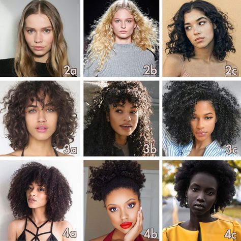 Hair Texture Chart, Hair Type Chart, 3a Hair, Different Curls, Curly Hair Types, Hair Patterns, Type 4 Hair, Haircuts For Curly Hair, Types Of Curls