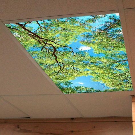 Decorative Fluorescent Light Covers for Your Home Diy Florescent Light Cover Classroom, Classroom Light Covers, Fluorescent Light Covers Diy, Florescent Light Cover, Light Covers Ceiling, Shop Remodel, Fluorescent Light Cover, Classroom Ceiling, Flourescent Light