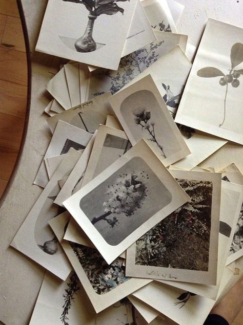 Photograph Aesthetic Vintage, Photography Journal Ideas, Vintage Photo Aesthetic, Photo Album Aesthetic, Mysterious Photos, Inspiring Gardens, Garden Sketch, Photography Journal, Vintage Aesthetics