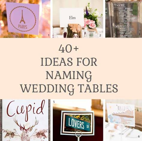 40 + ideas for naming wedding tables Table Names Ideas, Wedding Table Name Ideas, Table Name Ideas, Wedding Table Name, Wedding Table Themes, Party Planning Business, Seating Plans, Event Planning Logo, Event Planning Checklist