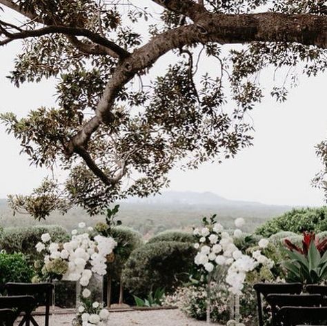 Fig Tree Restaurant & Rooms on Instagram: "AN ELEGANT AFFAIR //  A Fig Tree wedding day is something truly breathtaking to behold.  Natalie & Andrews Autumn nuptials 🕊️ The epitome of elegance & sophistication.  C O L L A B O R A T O R S //  Venue @figtreerestaurant Planning & Coordination @byronbayweddings Style & Hire @theweddingshed Florist @wildernessflowers_ Stationery @Signedbyshaun Celebrant @marrymedean Photographer @ivyroadphotography Videographer @samfregonese Musician & DJ @chrishutchinsonweddings Cake @milliesofnewrybar Transport @byronbaydoubledeckers | @cookiestours   In celebration of the Wedding Event of the YEAR (with the @Byronbayweddingfair now 2 weeks away), the Fig Tree will be announcing a never before seen limited wedding package - The Estate Package - in the days t Figtree Restaurant Wedding, Fig Tree Restaurant, Fig Tree Restaurant Wedding, The Fig Tree, Tree Restaurant, Byron Bay Weddings, Restaurant Wedding, Wedding Styling, Watch This Space