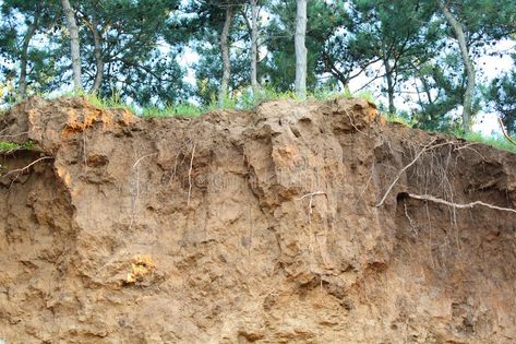 Soil Erosion, Bay Of Bengal, Hidden Places, By The Ocean, The Ocean, Soil, Lost, Stock Photos, India