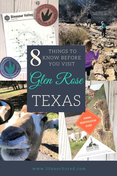 Texas Things To Do Road Trips, Glenrose Texas, Things To Do In Round Rock Texas, Glen Rose Texas Dinosaurs, Glen Rose Texas, Babymoon Destinations, Dinosaur Valley State Park, Texas Travel Guide, Glen Rose