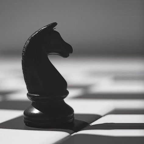 Chess Knight Aesthetic, Chess Knight Wallpaper, Knight Chess Piece Aesthetic, Black Chess Aesthetic, Rina Aesthetic, Chess Aesthetic, Chess Horse, Knight Chess Piece, Chess Knight