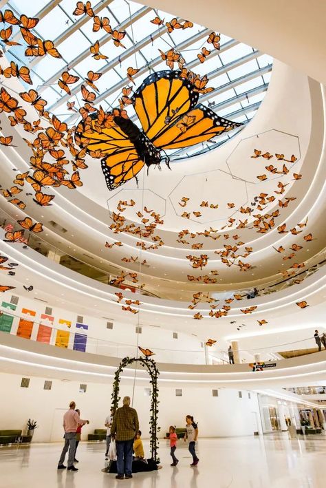 Photo Zone Design, Butterfly Installation, Kaleido Star, Butterfly Museum, Suspended Art, Butterfly Exhibit, Denver Airport, Photo Zone, Interior Design Drawings