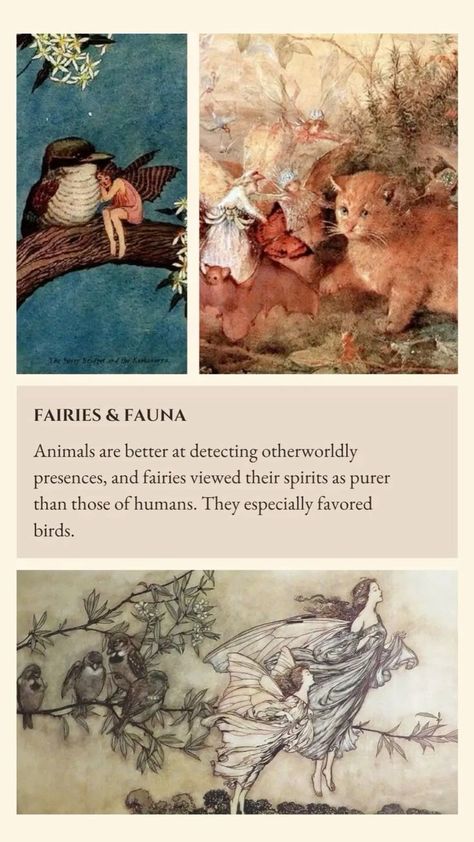 Fairy Lore #fairy #fae #anglosaxonmythology #mythology #folklore #lore #myths #fairys #magic #witches #wizards #english #scottish #welsh #irish #european #history #faemyths #nature #light #earth #earthmagic #mythicalcreatures Irish Folklore Aesthetic, Ravens Reference, Fae Lore Tumblr, Faerie Folklore, Irish Mythology Creatures, Irish Mythical Creatures, Gaelic Phrases, Welsh Folklore, Fairy Lore