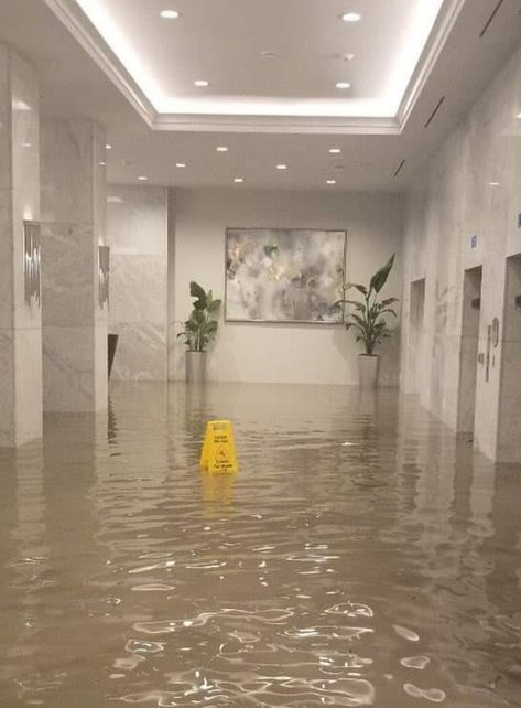 Wet Floor Sign, Water Hotel, Aesthetic Pool, Wet Floor Signs, Funny Sites, Wet Floor, Memes Of The Day, Jokes In Hindi, Silly Jokes