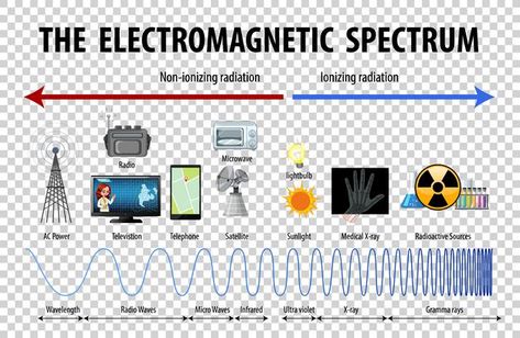 Science electromagnetic spectrum diagram... | Free Vector #Freepik #freevector #background #technology #education #cartoon Electromagnetic Spectrum Poster, Education Cartoon, Learn Physics, Background Technology, Video Design Youtube, Wave Drawing, Electromagnetic Spectrum, Wave Poster, About Science