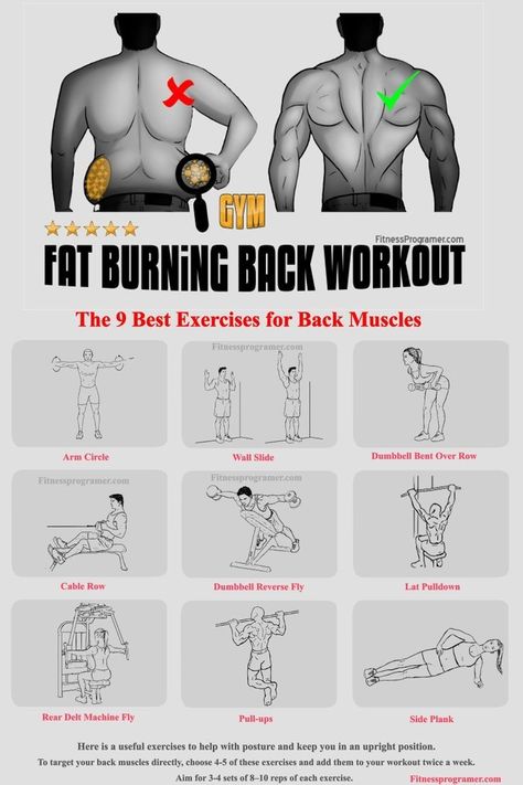 Back Workout For Men Gym, Back Exercises For Men, Gym Tricks, Back Workout For Men, Suspension Workout, Morning Sport, Back Workout Men, Gym Back Workout, Exercises For Back