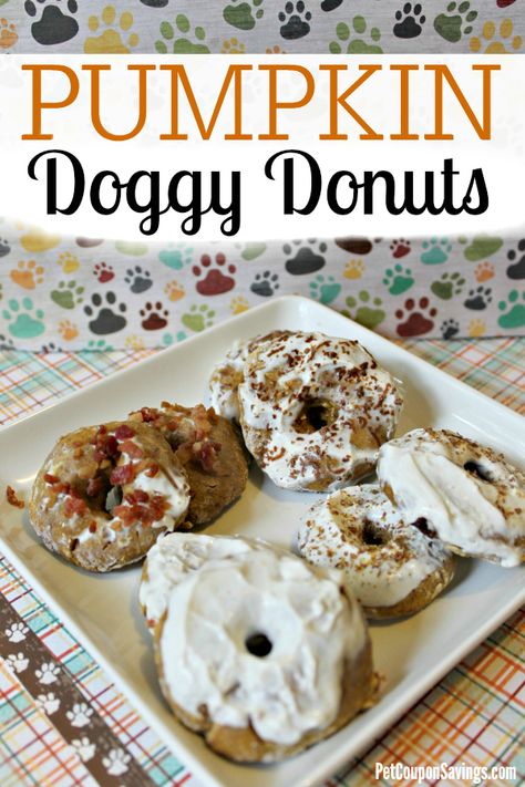 These Pumpkin Dog Donuts are the perfect dog treat for fall (or anytime). Make this easy homemade dog donut treats recipe in no time! #dogdonutsrecipe #pumpkin #homemadedogdonuts Halloween Dog Treats, Bacon Dog Treats, Bacon Dog, Easy Dog Treat Recipes, Dog Treats Homemade Easy, Easy Dog Treats, Pumpkin Dog Treats, Nut Recipes, Homemade Peanut Butter