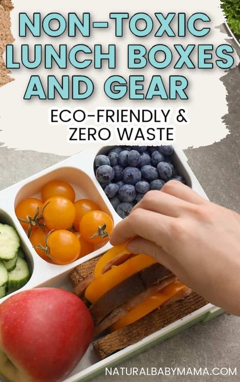 A complete guide to finding toxin-free lunch boxes, bags, and essentials. Eco-friendly and zero waste. Silicone Food Container, Eco Lunch Boxes, Zero Waste Lunch, Plastic Free Kitchen, Natural Kids, Free Lunch, Healthy Lunch Meal Prep, Lunch Box Snacks, Snack Containers