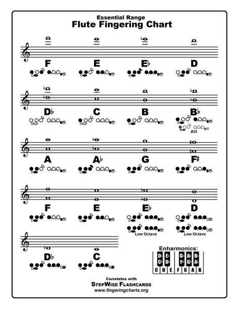 Flute For Beginners, Flute Beginner, Trumpet Fingering Chart, Flute Fingering Chart, Flute Lessons, Music Theory Piano, Jazz Concert, Woodwind Instrument, Play That Funky Music