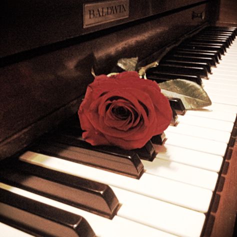 Piano On Fire Aesthetic, Rose Aethstetic Dark, Roses Dark Academia, Piano Dark Aesthetic, Piano And Roses Aesthetic, Red Piano, Piano Aesthetic, Iphone Ideas, Color Rojo