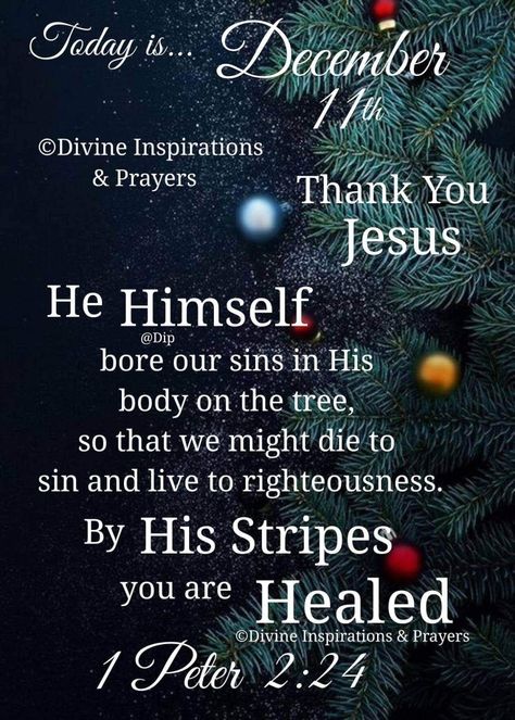 December Scriptures, Christmas Calendar, Holiday Quotes, Thank You Jesus, Daily Scripture, Thank You Lord, December Daily, 1 Peter, Days Of The Year