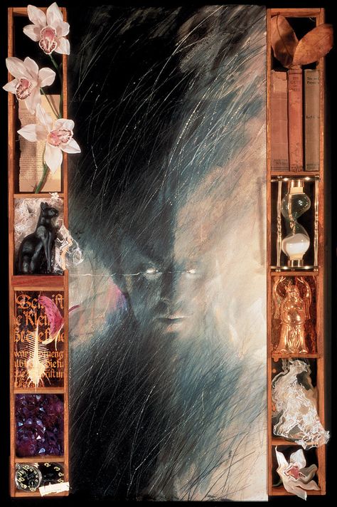 THE SANDMAN #1 SPECIAL EDITION  Dave McKean had an influence shaping my visual ideas in my late teens.. Morpheus Sandman, Sandman Comic, Sandman Neil Gaiman, Dave Mckean, The Sandman, Arte Dc Comics, Bd Comics, Desenho Tattoo, Neil Gaiman