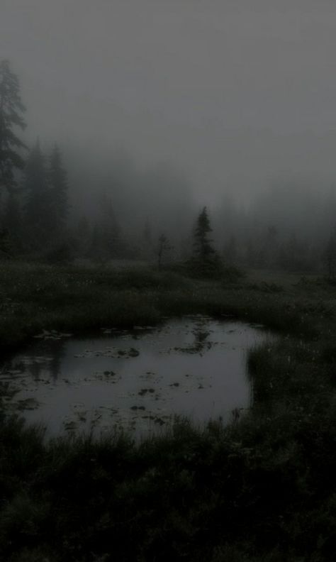 Gloomy Foggy Aesthetic, Dark Gloomy Aesthetic Wallpaper, Dark Foggy Forest Aesthetic, Dark And Gloomy Aesthetic, Gloomy Dark Aesthetic, Gray Nature Aesthetic, Danicacore Aesthetic, Brain Rot Aesthetic, Jackiecore Aesthetic