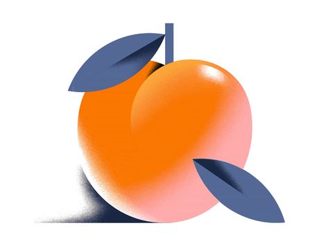 A juicy, ripe peach by Andrew Colin Beck on Dribbble Illustration Fruit, Peach Illustration, Dribbble Design, 심플한 그림, 카드 디자인, Fruit Illustration, Bold Art, Illustration Food, 3d Texture