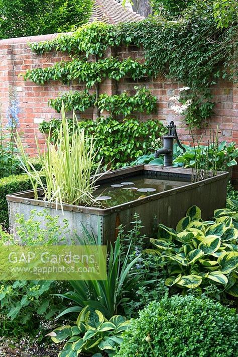 A galvanised metal animal feeding trough converted into a small pond in a shady corner of a walled garden surrounded by shade tolerant planting including hosta, alchemilla and box. Garden Shed Plans, Garden Court, Court Yard, Build Your Own Shed, Garden Pond Design, Garden Water Feature, Small Pond, Courtyard Gardens Design, Cottage Garden Design