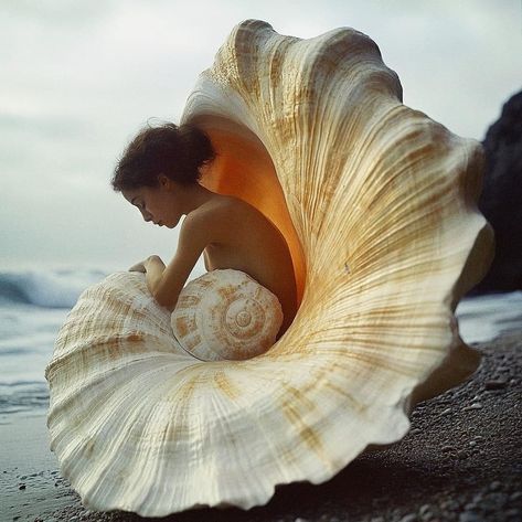 Artistic Photos Creative Photography, Spiritual Photoshoot, Seashell Photography, Women Retreat, Mermaid Photography, Feminine Branding, Concept Ideas, Surrealism Photography, Beach Portraits