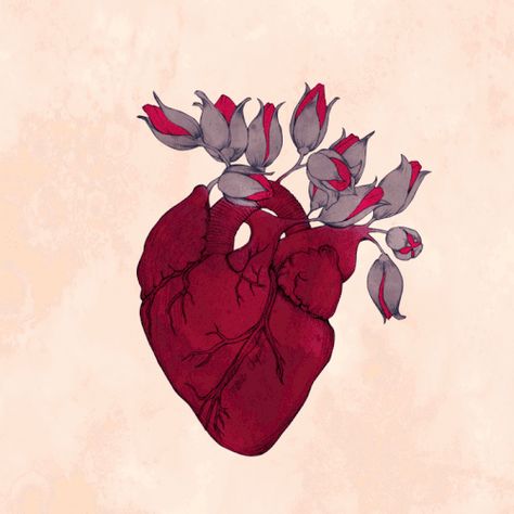 Heart Animation, Graphics Fairy, Art Heart, Anatomical Heart, Beating Heart, Beauty Illustration, Wow Art, Art Et Illustration, Art And Illustration