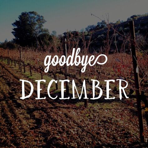 Goodbye December Goodbye December, Good Morning Roses, Happy New Year Images, New Year Images, Winter Love, Bye Bye, Winter Time, Just Go, Christmas And New Year