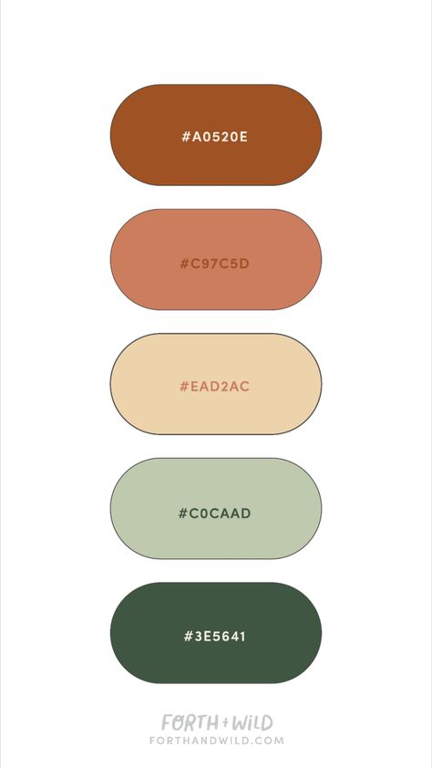 Retro Boho Colour Palette Inspiration Boho Colour Palette, Boho Color Scheme, Colour Palette Inspiration, Boho Colors, Retro Color Palette, Palette Inspiration, Hotel Project, Polymer Crafts, Color Inspo