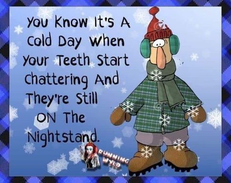 Too Cold Humor, Cold Weather Jokes, Cold Weather Humor, Cold Humor, Cold Weather Funny, Weather Jokes, Cold Weather Quotes, Weather Humor, Getting Older Humor