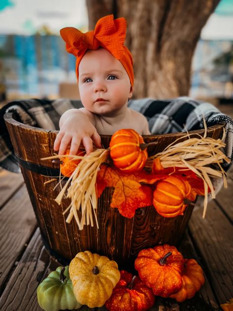 Fall pictures with baby and pumpkins sunflowers 6 month photoshoot 1st Fall Photoshoot, 8 Month Old Fall Photos, Diy Baby Pumpkin Photoshoot, 4 Month Old Fall Pictures, 4 Month Old Fall Photoshoot, One Year Old Fall Photoshoot, October 6 Month Baby Pictures, 3 Month Old Fall Photoshoot, 6 Month Fall Photoshoot