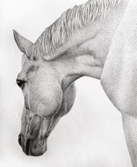 Each Piece I Create Using Pointillism Technique Takes Up To Couple Of Hundred Hours To Make Pointalism Art, Stippling Drawing, Beautiful Pencil Drawings, Dotted Drawings, Drawing Portraits, Stippling Art, Small Canvas Paintings, Horse Drawing, Horse Drawings