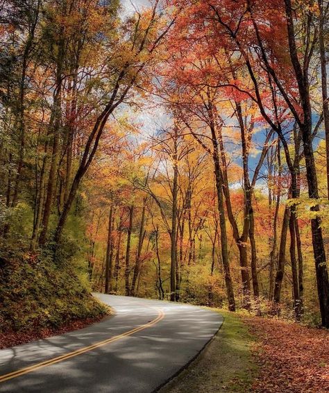 Sevierville Tennessee, Leaves Changing Color, Beautiful Roads, Vs The World, Autumn Scenes, Road Trippin, Fall Travel, Autumn Cozy, Great Smoky Mountains