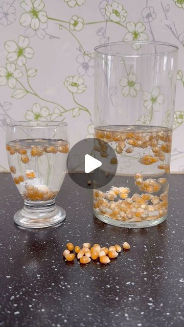 Kreativ gir’ liv🌼 on Instagram: "🌾Dansende majs🌽synes dette lille science trick er så sjovt, og børnene er vilde med det👭💪lad børnene have deres eget glas, eller lav et fælles dansende majs glas, god fornøjelse🌽👭🌽👭🌽👭🌽 Passer da lige ind i høst temaet🌾🤩🌾☀️  #dansendemajs#majs#science#scienceforkids#scienceforbørn#sjovt#høstfest#høstfesttema#børnehave#specialskole#kreativgirliv" September 8, Diy And Crafts, Abc, On Instagram