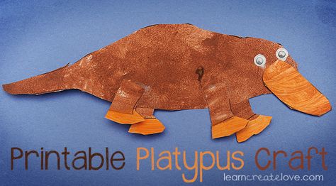 Bored? Why not create your own Pippa Platypus! #Australia #crafts #platypus Platypus Craft, Australia Crafts, Australia Wallpaper, Around The World Theme, Cairns Australia, Australia Animals, Craft Ideas For Kids, Australia Day, My Past