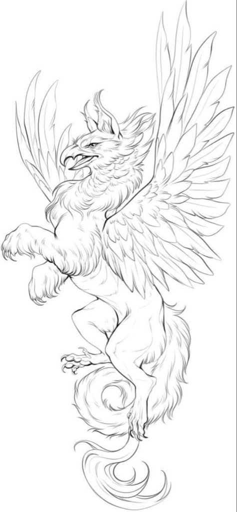 Mythology Animal Tattoos, Greek Mythical Creatures Art, Griffon Tattoo Design, Griffin Sketch Tattoo, Sketch Mythical Creatures, Mythology Creatures Drawings, Griffin Drawing Sketches, Griffin Line Art, Griffin Creature Design