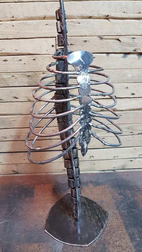 Skeleton Metal Art, Metal Skeleton Art, Welded Skeleton, Rib Sculpture, Ribcage Sculpture, Ribs Sculpture, Rib Cage Sculpture, Spine Reference, Spine Sculpture