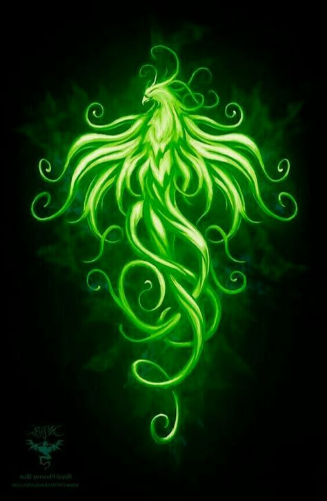 Green Phoenix Bird, Phoenix Artwork, Dancing Dresses, Irish Dancing, Irish Dancing Dresses, Phoenix Art, Creatures Art, Fantasy Creatures Art, Irish Dance