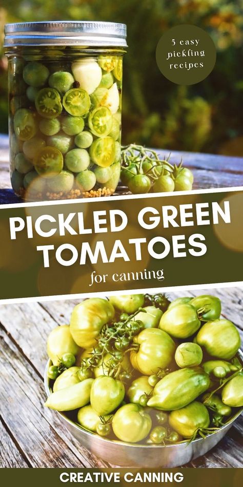 Pickled Green Cherry Tomatoes Recipe, Green Tomatoes Recipes, Pickled Green Tomatoes Recipe, Green Tomato Pickles, Tomato Pickle Recipe, Canning Green Tomatoes, Recipes For Canning, Green Tomato Relish, Canning Tomatoes Recipes