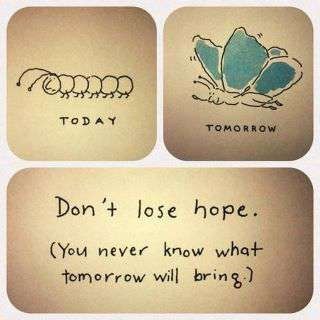 Don't lose hope! Dont Lose Hope, Never Lose Hope, Lost Hope, Visual Statements, E Card, You Never Know, Quotable Quotes, The Words, Great Quotes