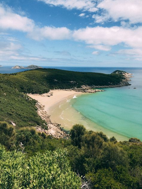 View of the white sand beaches and blue waters of squeaky beach. Wilson’s Promontory, Wilsons Prom, Solo Travelling, Wilsons Promontory, 2024 Board, Post Grad, Hiking Trail, Beautiful Scenery Nature, Travel Inspo