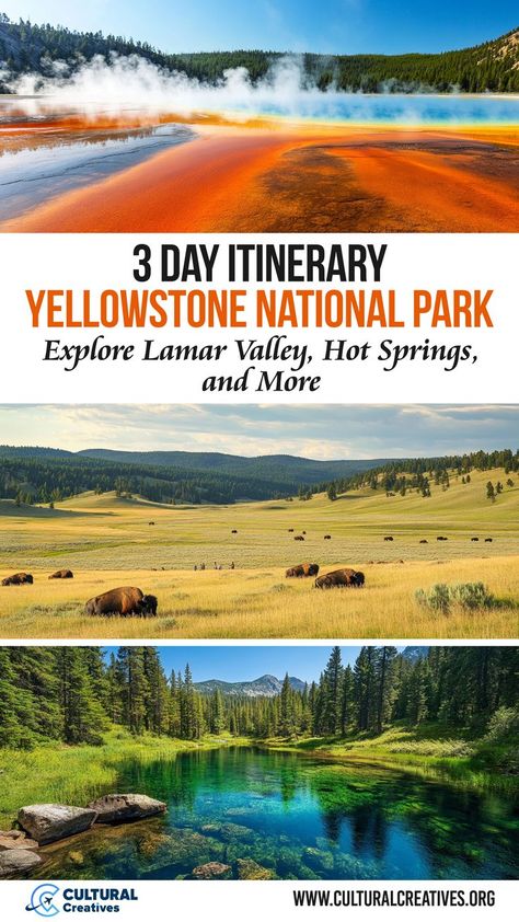 3 Day Itinerary Yellowstone National Park featuring colorful hot springs, roaming bison in Lamar Valley, and a serene forest stream surrounded by lush greenery. Hiking In Yellowstone National Park, Yellowstone Itinerary, Grand Prismatic Spring, Wyoming Vacation, Grand Prismatic, Lamar Valley, Old Faithful, National Parks Trip, Scenic Drive