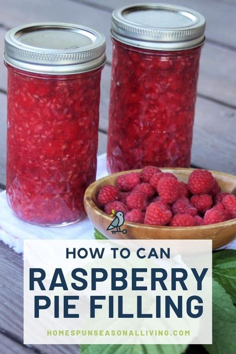 Make and can raspberry pie filling for wonderful dessert options all year long with this super easy recipe and method. Get full safe canning instructions on my blog. Canning Raspberries Recipes, Canning Raspberry Pie Filling, Canned Raspberry Pie Filling Recipes, Raspberry Canning Recipes, Canning Raspberries, Raspberry Pie Filling Recipes, Canning Instructions, Bee Yard, Raspberry Pie Filling