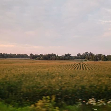 Farm Athstetic, Midwest Farm Aesthetic, Rusticcore Aesthetics, Farm Town Aesthetic, Fall Farm Aesthetic, Farm Asethic, Farm Boy Aesthetic, Farmland Aesthetic, Country Vibes Aesthetic