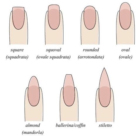 Types Of Nails Shapes, Square Oval Nails, Fantastic Nails, Birthday Nail Designs, Unghie Sfumate, Acrylic Nail Shapes, Different Nail Shapes, Squoval Nails, Casual Nails