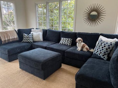 Large Navy Sectional Living Room, Pet Friendly Sectional Sofa, Lovesac Sactional Ideas, Sactional Lovesac, Lovesac Sactional Living Rooms, Love Sac Sectional, Blue Sectional Couch, Navy Blue Couch, Lovesac Sectional