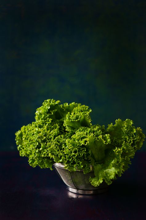 Vegetable Photography Food Styling, Vegetable Photography Creative, Veggie Photography, Vegan Photography, Green Food Photography, Lettuce Photography, Green Vegetables Photography, Vegetable Photography, Red Vegetables Photography