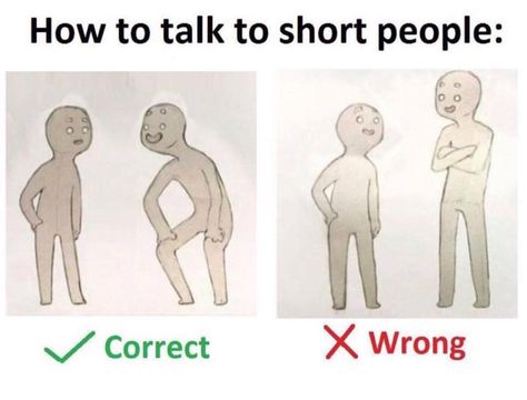 How to talk to short people Short People Problems, Short Person, Funny Text Posts, Short People, How To Talk, Edgy Memes, Funny Animal Pictures, Tumblr Funny, Best Memes