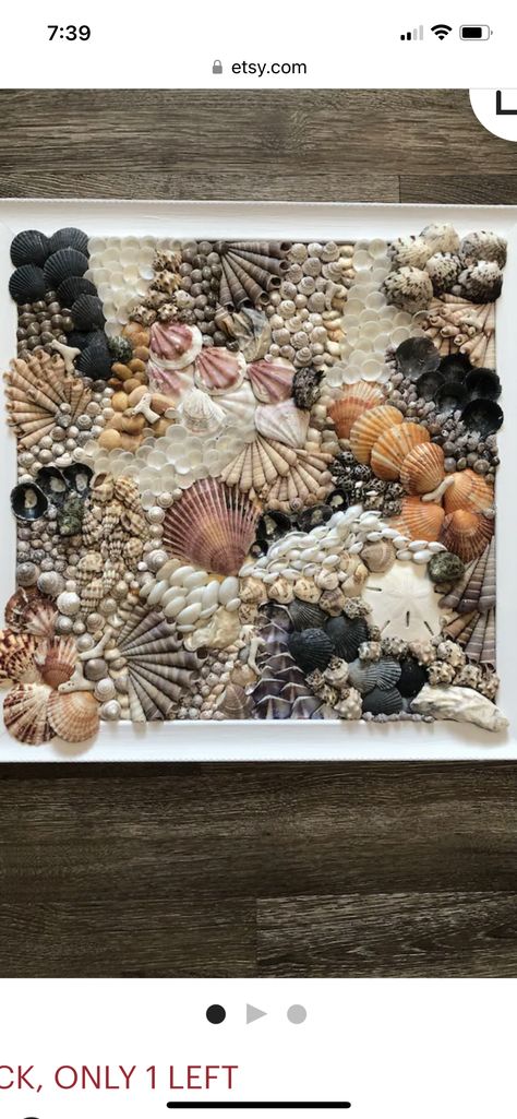 Seashell Mosaic, Seashell Artwork, Shell Artwork, South Carolina Coast, Beach Themed Crafts, Shell Display, Carolina Coast, Beach Themed Bedroom, Art Coquillage