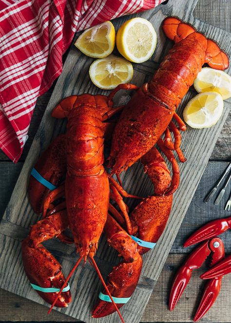 Maine Lobster Roll Recipe, Maine Lobster Roll, Lobster Roll Recipe, Lobster Roll Recipes, Best Lobster Roll, Lobster Dishes, Live Lobster, Lobster Salad, Salad Rolls