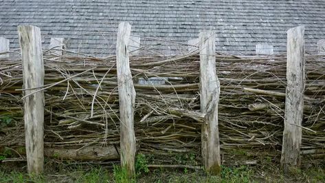 8 Inexpensive DIY Fence Ideas Anyone Can Build Rustic Garden Fence Ideas Diy, Rustic Fencing Ideas, Inexpensive Fence Ideas, Cheap Diy Fence, Split Rail Fence Ideas, Diy Fence Ideas, Pallet Fence Diy, Cheap Garden Fencing, Suburban Homestead