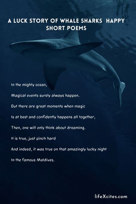 A Luck Story of Whale Sharks – Happy Short Poems Sea Poems, Sea Whale, Whale Sharks, Beautiful Sea Creatures, Short Poems, Kids Projects, The Poem, Whale Shark, Beautiful Sea